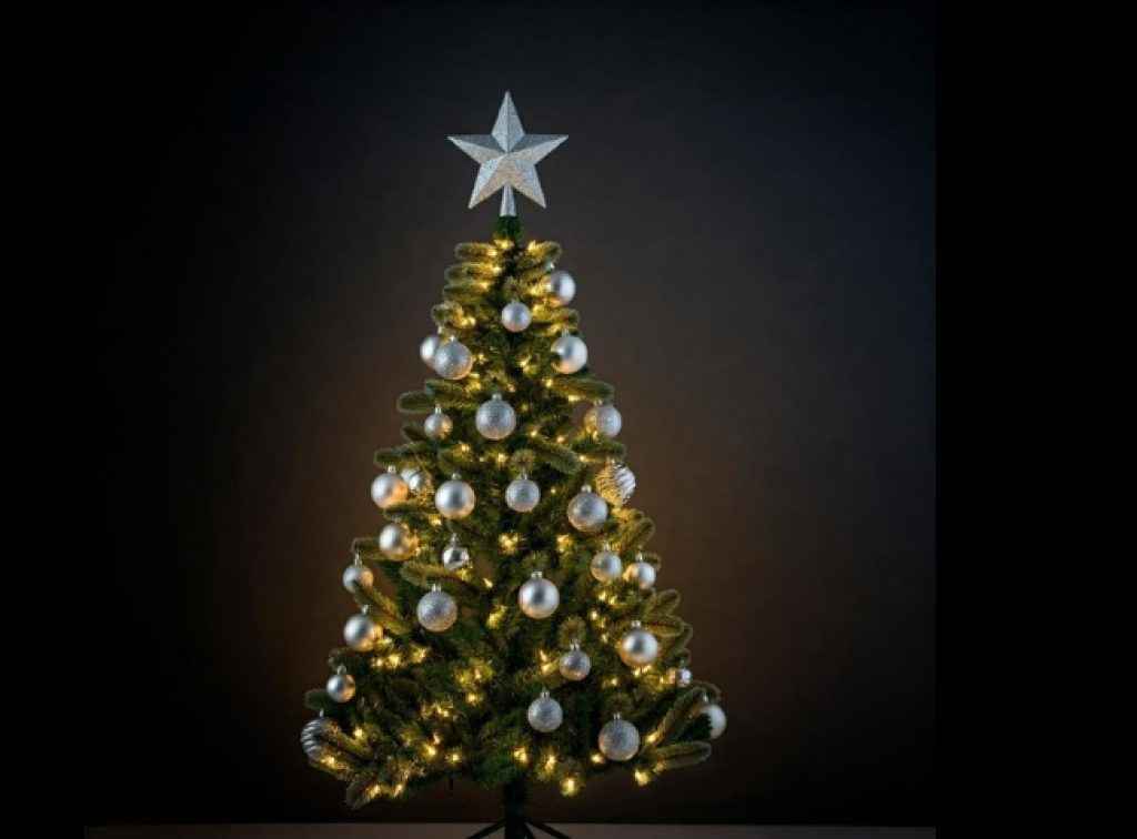 variety christmas trees in online at lowest prices Christmas Special: